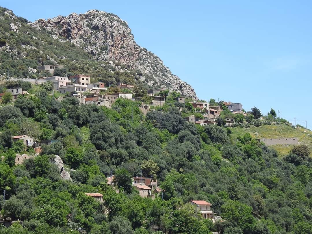 Odoo- Echantillon n° 3 pour trois colonnes