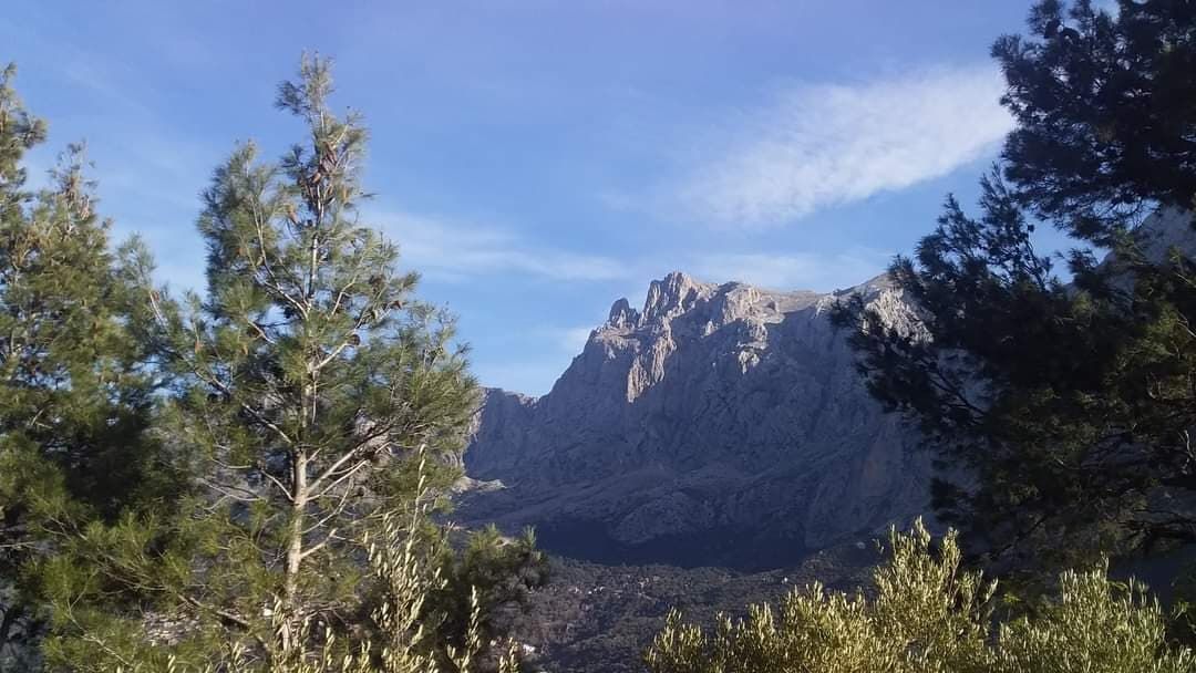 Image de diapositive