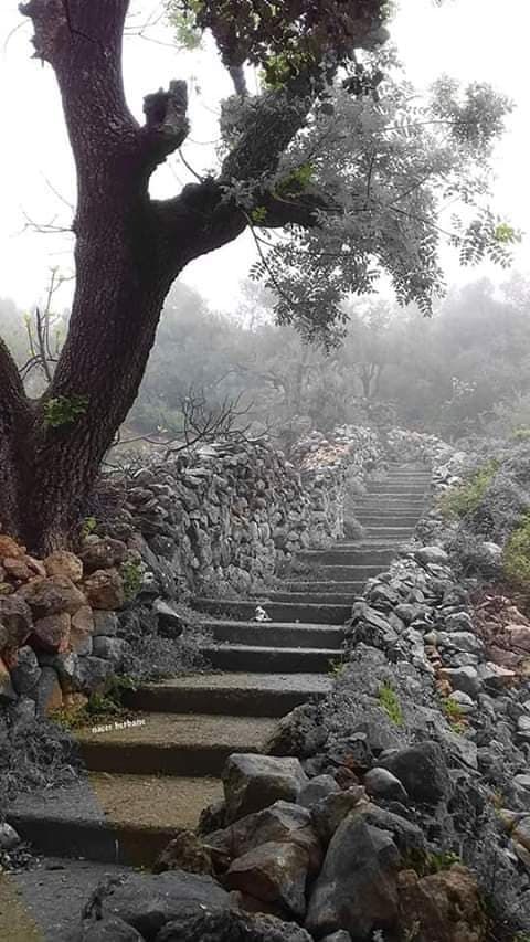 Image de diapositive