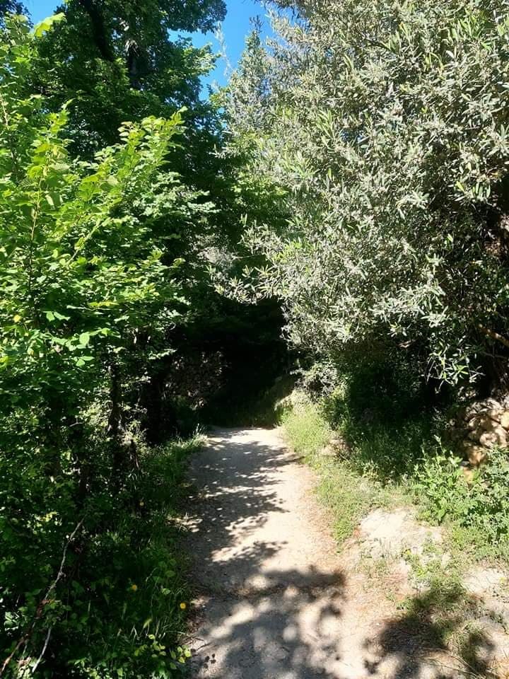 Image de diapositive