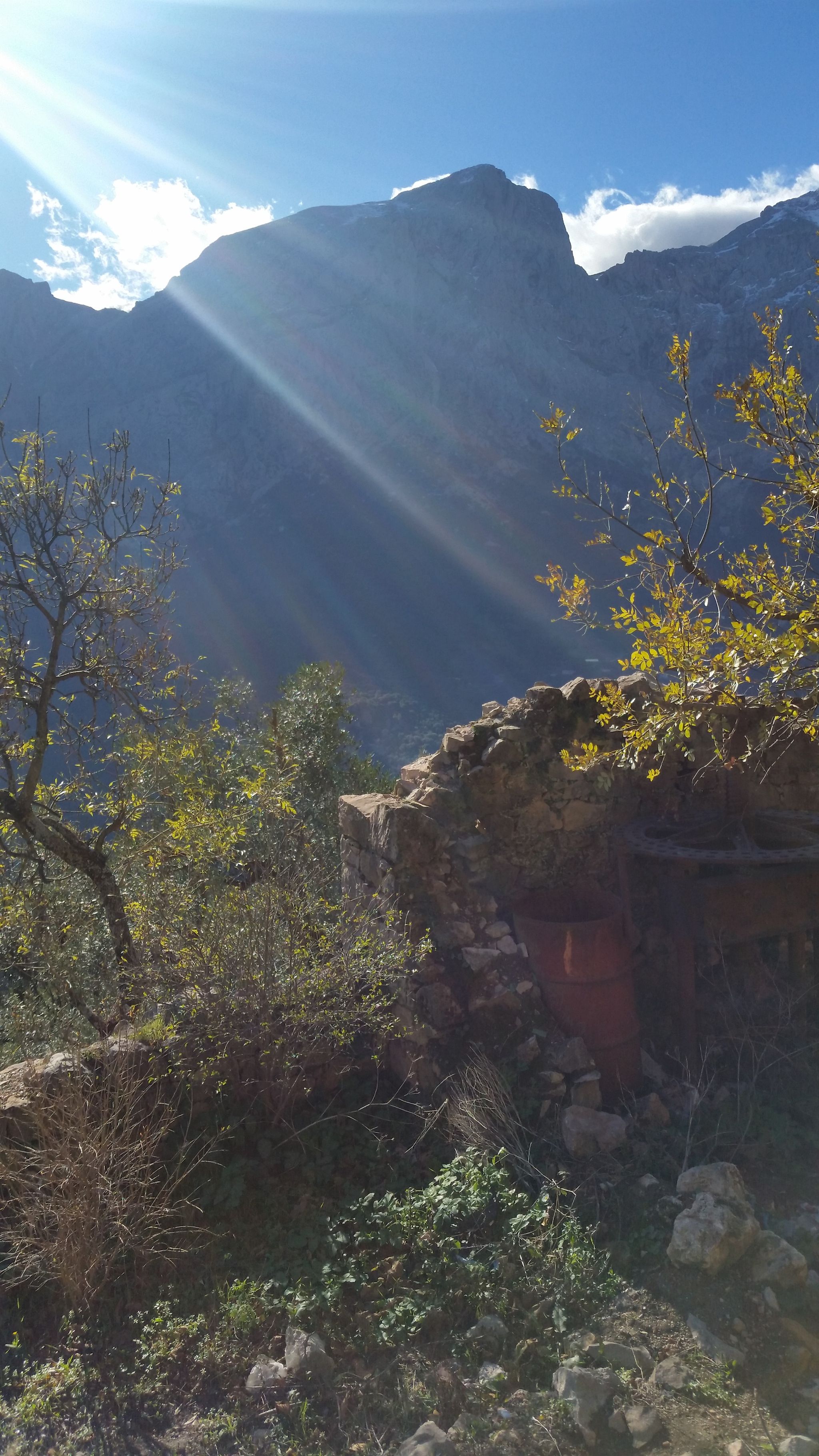 Image de diapositive