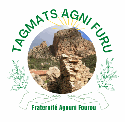 Odoo - Echantillon n°1 pour trois colonnes 